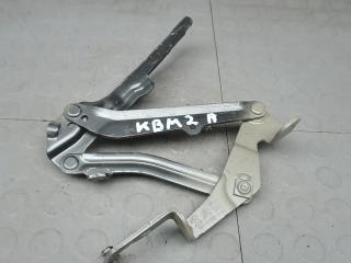 петля капота Peugeot 3008 2020, 1.5 л., дизель, МКПП, внедорожник 5 дв.