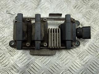 катушка зажигания Audi A6 C5 2003, 2.4 л., бензин, АКПП, серый, универсал, E2019102154