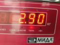 стартер Opel Astra H 2006, 1.6 л., бензин, МКПП, серый, хетчбэк 5 дв., 55556092 - фото №5