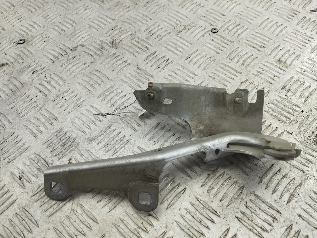 петля капота правая Renault Laguna III 2008, серый, хетчбэк 5 дв., 654000001R