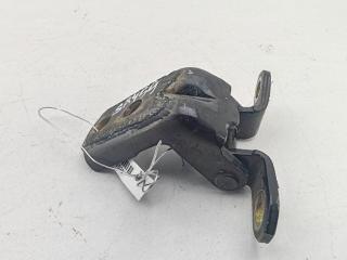 петля двери Nissan Murano Z50 2005, чёрный, внедорожник 5 дв.