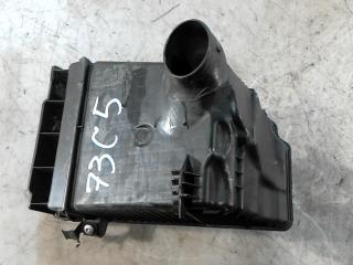 корпус воздушного фильтра Renault Scenic 2 поколение [рестайлинг] 2008, 2.0 л., дизель, МКПП, минивэн