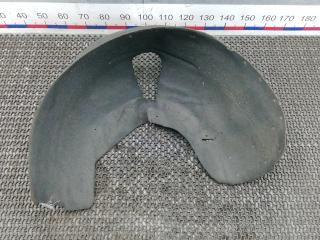 Подкрылок задний левый Volkswagen Phaeton 1 поколение 2005, 3.0 л., дизель, АКПП, седан