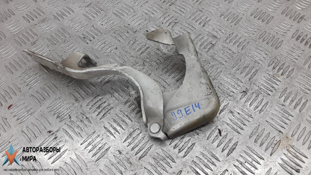 петля капота Chevrolet Captiva 1 поколение 2009, 2.4 л., бензин, МКПП, внедорожник 5 дв. - фото №1