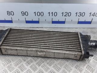 радиатор интеркулера Suzuki SX4 1 поколение [рестайлинг] 2009, 2.0 л., дизель, МКПП, хетчбэк 5 дв., 1362079T80, 6738967S