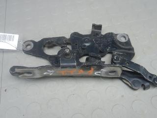 петля капота BMW 7 серия F01/F02 [рестайлинг] 2013, 4.4 л., 750i, бензин, АКПП, седан