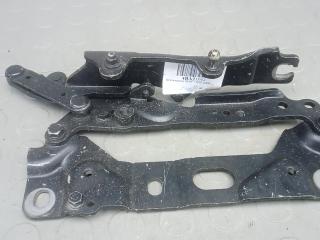 петля капота BMW 7 серия F01/F02 2009, 4.4 л., 750i, бензин, АКПП, седан