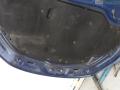 капот Volkswagen Eos 1 поколение 2008, 2.0 л., дизель, МКПП, кабриолет - фото №9