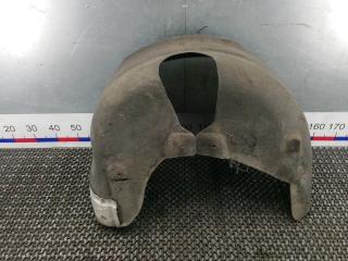 Подкрылок задний левый Volkswagen Phaeton 1 поколение [рестайлинг] 2008, 3.0 л., дизель, АКПП, седан