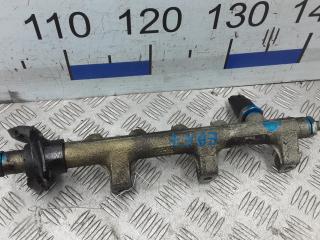 топливная рампа Nissan Interstar 1 поколение 2004, 2.5 л., дизель, МКПП, микроавтобус, 8200023961