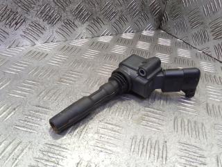 катушка зажигания Skoda Yeti 1 поколение [рестайлинг] 2016, 1.2 л., бензин, МКПП, минивэн, 032905106E, 032905106F, 032905106B, 0221603009, 030905106, 138425, 138704, 032905106D, 032905106