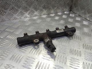 топливная рампа Ford S-Max 1 поколение 2007, 2.0 л., дизель, МКПП, минивэн, 9681549580, 55PP0603, 0728766071