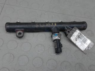 топливная рампа Ford S-Max 1 поколение 2007, 2.0 л., дизель, МКПП, минивэн, 9681549580, 55PP0603, 0728766071
