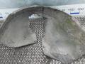 Подкрылок передний левый Skoda Octavia 2 поколение (A5) 2007, 1.9 л., D TDI PD, дизель, МКПП, хетчбэк 5 дв. - фото №4