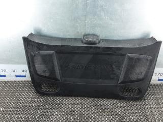 обшивка крышки багажника SsangYong Rexton Y250 2006, 2.7 л., дизель, АКПП, внедорожник 5 дв.