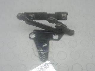 петля капота SEAT Altea 1 поколение 2008, 1.6 л., бензин, МКПП, хетчбэк 5 дв.