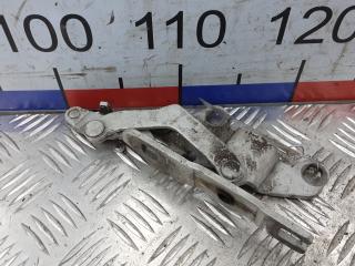 петля капота BMW 1 серия E81/E82/E87/E88 [рестайлинг] 2007, 1.6 л., 116i, бензин, МКПП, хетчбэк 5 дв.