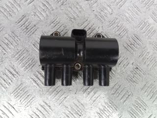 катушка зажигания Chevrolet Aveo T250 [рестайлинг] 2009, 1.2 л., бензин, МКПП, хетчбэк 5 дв.