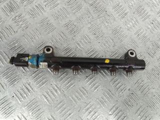 топливная рампа Opel Antara 1 поколение [рестайлинг] 2012, 2.2 л., дизель, МКПП, внедорожник 5 дв.