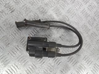 катушка зажигания Renault Kangoo 1 поколение 1998, 1.4 л., бензин, МКПП