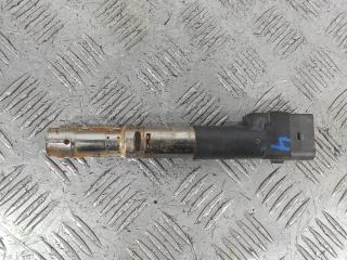 катушка зажигания Ford Galaxy 1 поколение [рестайлинг] 2005, 2.8 л., 24V, бензин, АКПП, минивэн