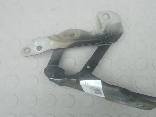 петля капота Dodge Caliber 1 поколение 2008, 2.0 л., дизель, МКПП, внедорожник 5 дв.